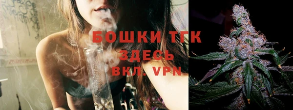 винт Вяземский