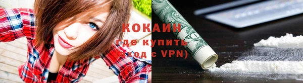 гидра Вязники