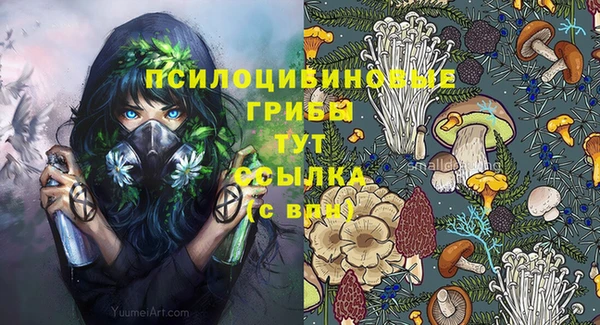 мяу мяу мука Вязьма