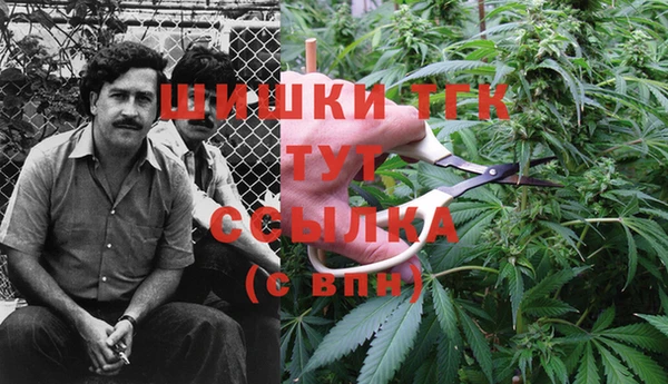винт Вяземский