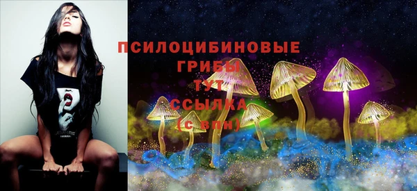 винт Вяземский