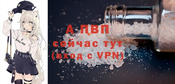винт Вяземский