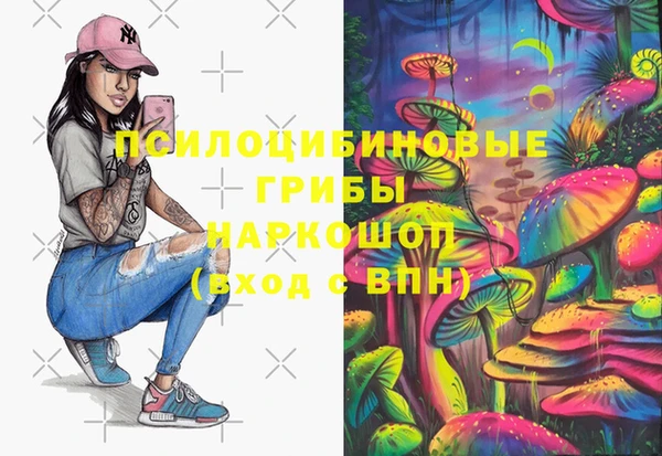 мяу мяу мука Вязьма