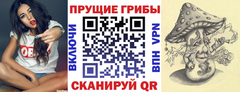 Псилоцибиновые грибы Cubensis  Ульяновск 