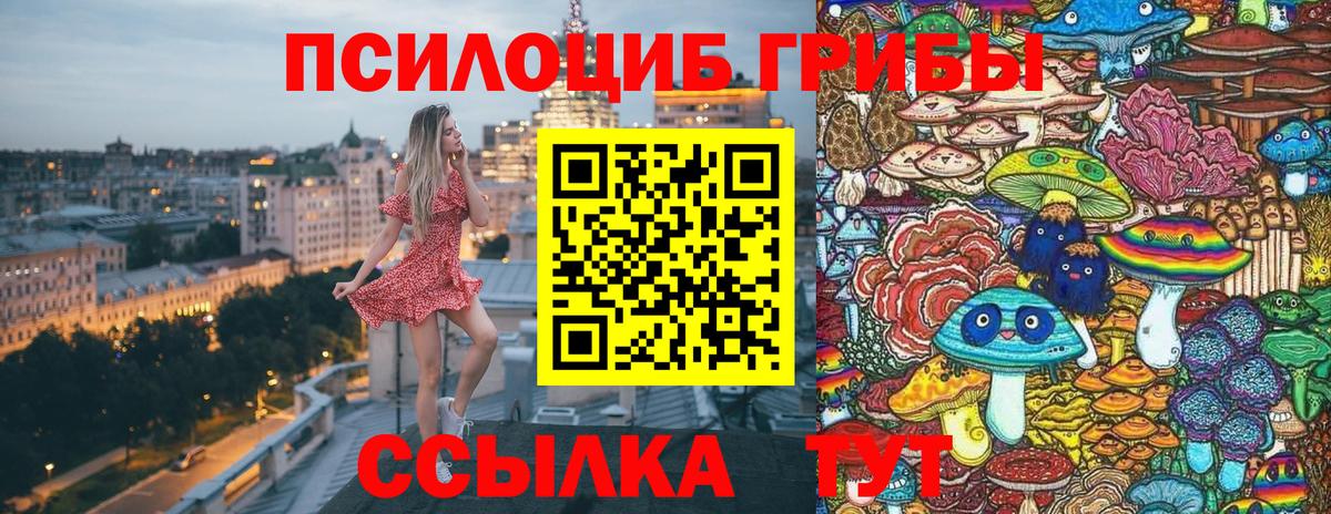 Псилоцибиновые грибы Psilocybe  Вход с VPN  Ульяновск 